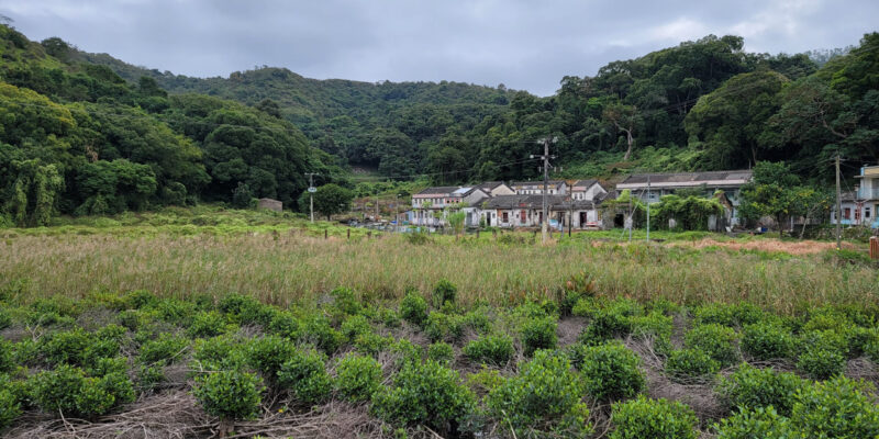 IMG (20211121)_Kuk Po_North Distict (HK)_007 IMG (20211121)_Kuk Po_North Distict (HK)_007