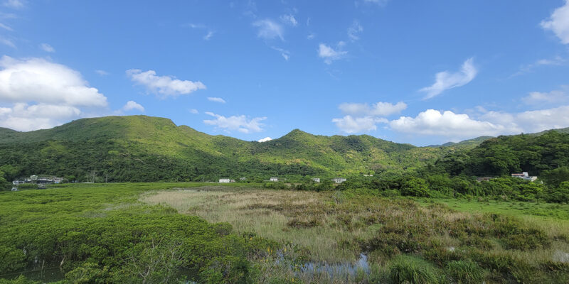 Sites_谷埔濕地 (20220424)_Kuk Po_North District (HK)_014 Sites_谷埔濕地 (20220424)_Kuk Po_North District (HK)_014